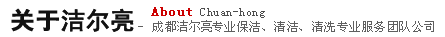 成都保洁、成都家政-洁尔亮简介